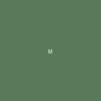 墨夜 (Midnight Ink) - 黄色仓库 创作者头像